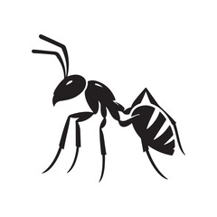 vector silhouette black ant on a white background