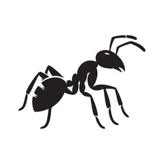 vector silhouette black ant on a white background