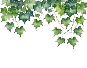 bay leaves, liście, grafika, wektor, vector, flowers, kwiaty, kompozycje kwiatowe, kompozycje z liści, flower compositions, leaf compositions