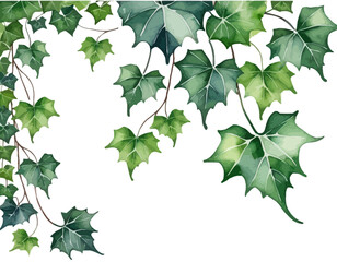 bay leaves, liście, grafika, wektor, vector, flowers, kwiaty, kompozycje kwiatowe, kompozycje z liści, flower compositions, leaf compositions