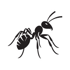 vector silhouette black ant on a white background