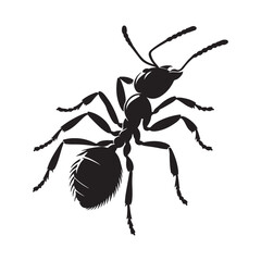 vector silhouette black ant on a white background
