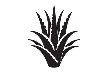 Plants Vector Art And Illustration