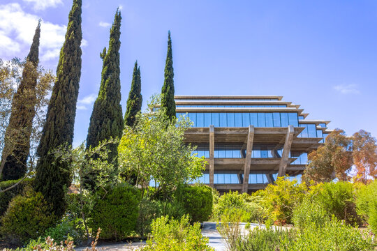 A scenic view of the iconic Geisel Library at UC San Diego, surrounded by lush greenery and tall cypress trees.