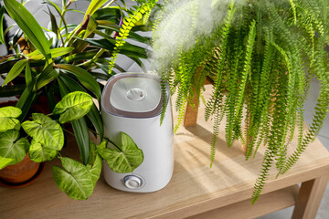 Close up of modern air humidifier. Humidification for cultivation of house plants. The steam from the air humidifier in the room. Plant care. Humidification of air in apartment during heating period.