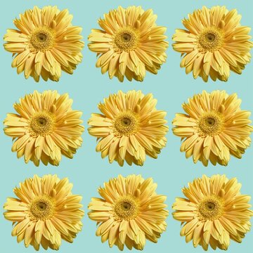 Bright yellow gerbera pattern