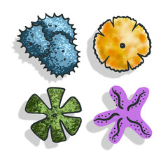 Set trees top view in color. Pictograms for general plans landscape design in sketch style with shadow. Isolated on white background. Vector.