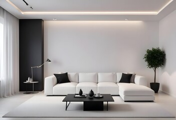 black and white modern living room with sofa