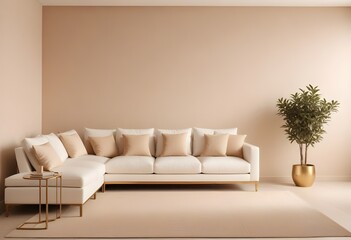 modern living room with sofa