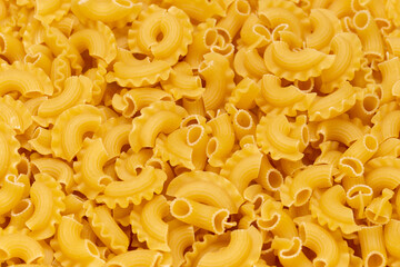 Dried macaroni cockerel scallops. Pasta vermicelli texture, noodles background.