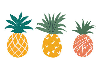 Set of Pineapple in doodle style. vector illustration. Editable Vector