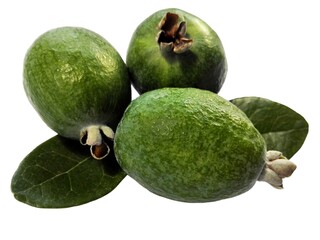 Green feijoa fruit & feijoa leaf (Acca sellowiana) isolated on white background. Tropical feijoa or pineapple guava fruit exotic green fruit isolated. Raw acca sellowiana plant, guavasteen green fruit