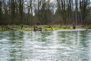 Hiking_Danube mouth of the Isar in Spring. Bavaria, Germany,