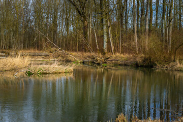 Hiking_Danube mouth of the Isar in Spring. Bavaria, Germany,