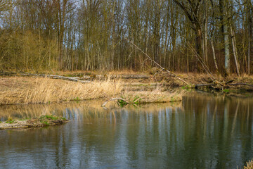 Hiking_Danube mouth of the Isar in Spring. Bavaria, Germany,