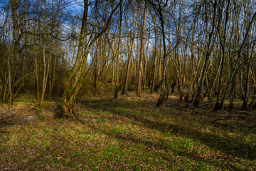 Hiking_Danube mouth of the Isar in Spring. Bavaria, Germany,