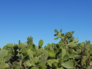 Paesaggio