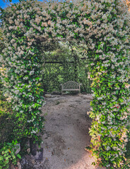 Floral Archway Leading to a Serene Wooden Bench