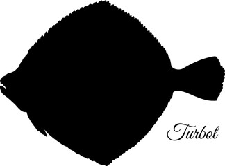 Turbot flatfish silhouette