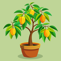 Mango tree with mango in pot vector illustration  
