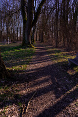 Hiking on Gsruet Danube Island Straubing in Bavaria