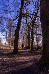 Hiking on Gsruet Danube Island Straubing in Bavaria