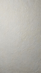 white wall texture