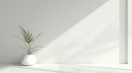 Aloe vera in pot on white table. Front view. Place for text, copy space, mockup