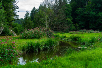 Hiking Big Ohe Stream near Castle Ransberg in the bavarian Forests.