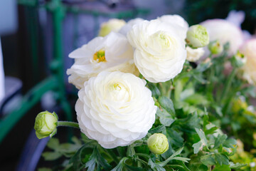 花（ラナンキュラス）