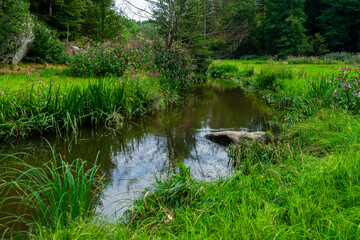 Hiking Big Ohe Stream near Castle Ransberg in the bavarian Forests.