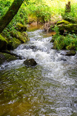 Fototapeta premium Hiking Big Ohe Stream near Castle Ransberg in the bavarian Forests.