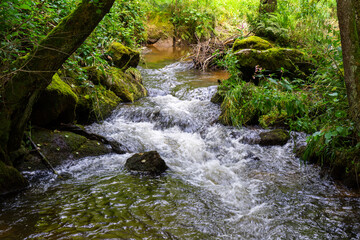 Fototapeta premium Hiking Big Ohe Stream near Castle Ransberg in the bavarian Forests.