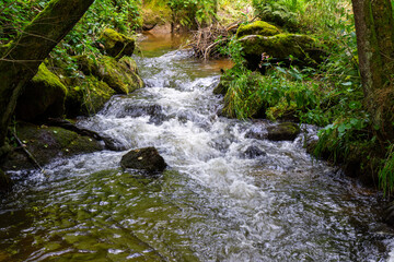 Fototapeta premium Hiking Big Ohe Stream near Castle Ransberg in the bavarian Forests.