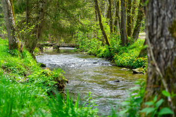 Hiking around Lalling in the Bavarian Forest, Ponds and Streams in this Area.