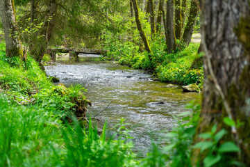 Naklejka premium Hiking around Lalling in the Bavarian Forest, Ponds and Streams in this Area.