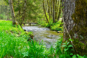 Hiking around Lalling in the Bavarian Forest, Ponds and Streams in this Area.