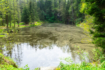 Hiking around Lalling in the Bavarian Forest, Ponds and Streams in this Area.