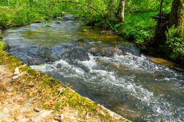 Hiking around Lalling in the Bavarian Forest, Ponds and Streams in this Area.