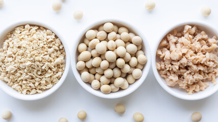 大豆と大豆ミート　プラントベースの食べ物　白背景