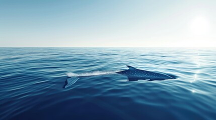 On World Oceans Day picture this a majestic blue whale gliding gracefully just beneath the shimmering surface framed by the vast expanse of a clear blue sky