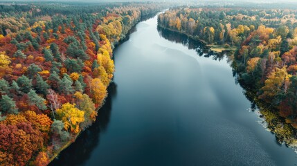 Aerial View of Autumn Forest and River Captured by Drone