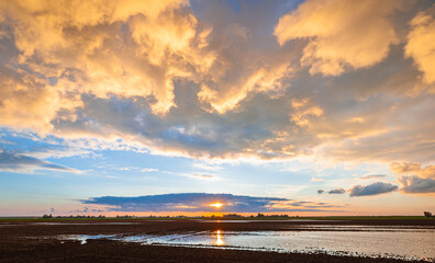 Obraz premium Beautiful yellow to orange colored clouds over large puddles in a cropland after the passage of a rainstorm
