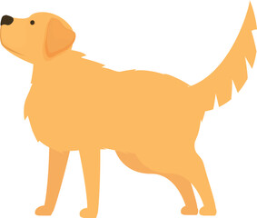Illustration of a golden retriever dog, standing and looking up, isolated on a white background