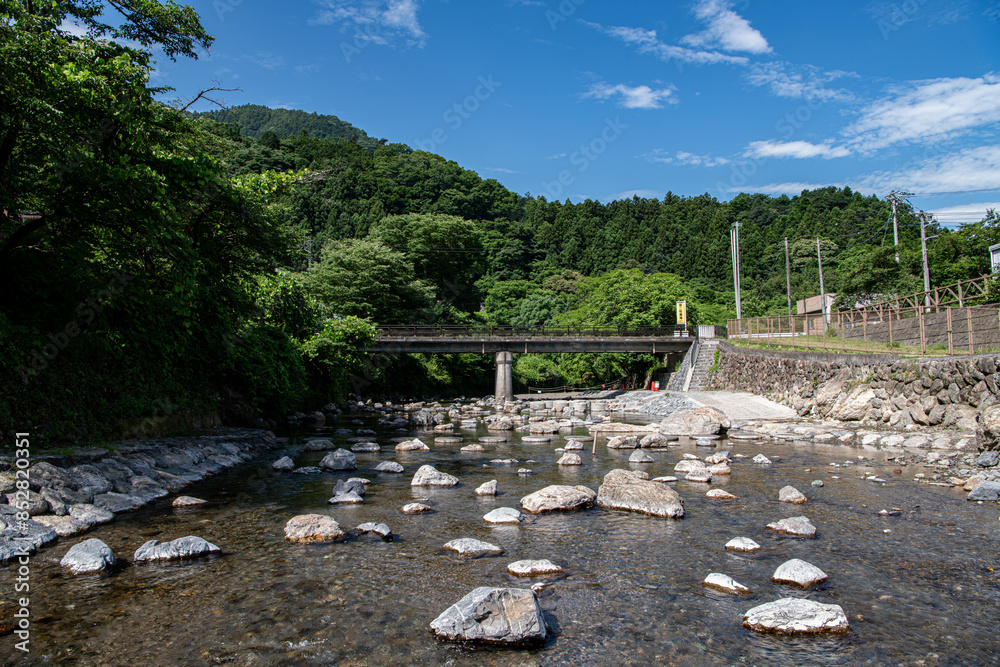 Wall mural 秩父の夏の河原