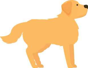 Friendly golden retriever standing with its head up, paying attention to something in the distance