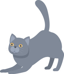 Playful grey cat stretching its body and getting ready to play
