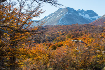 Naklejka premium Autumn in mountains