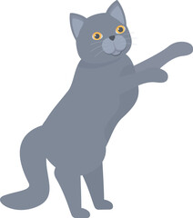 Gray cat standing on its hind legs, playing with something unseen
