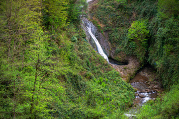 Tranquil Cascade: Little Waterfall in Lush Green Nature